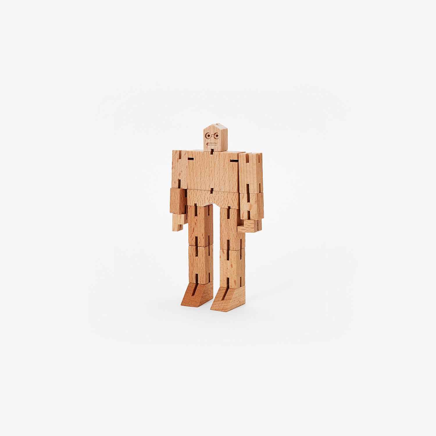Cubebot® Micro - Julien