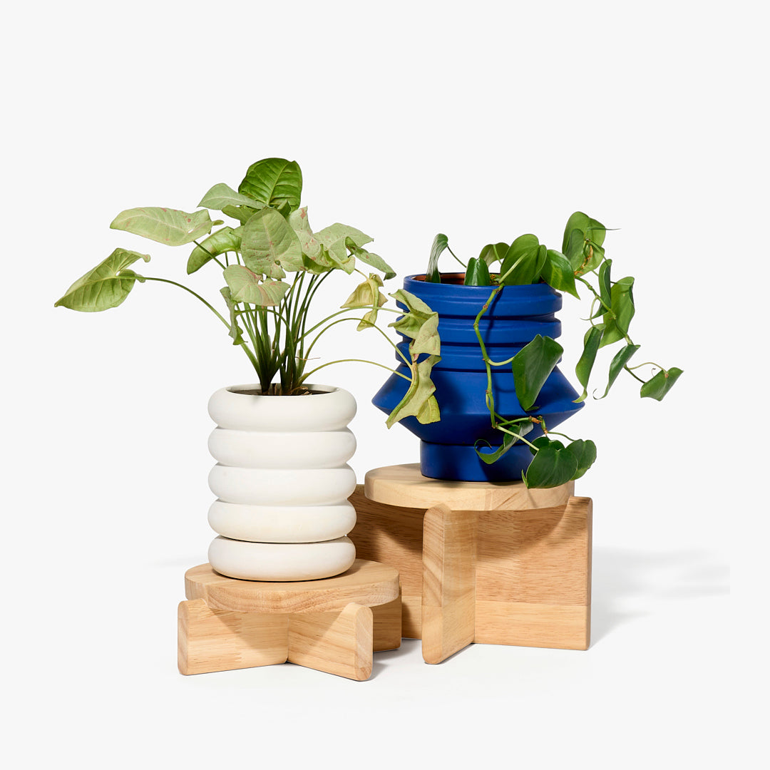 Pedestal Set