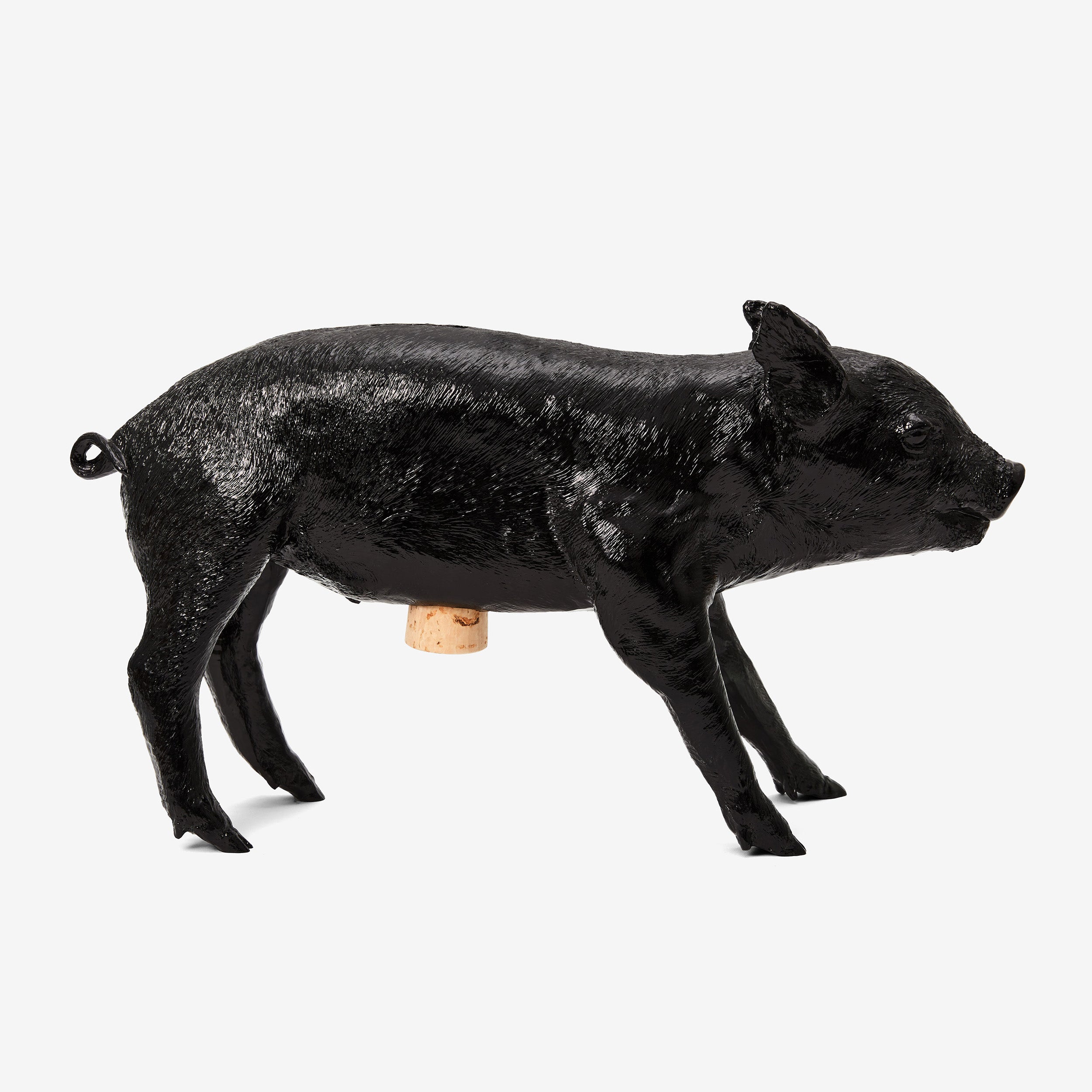 Reality Bank in the Form of a Pig