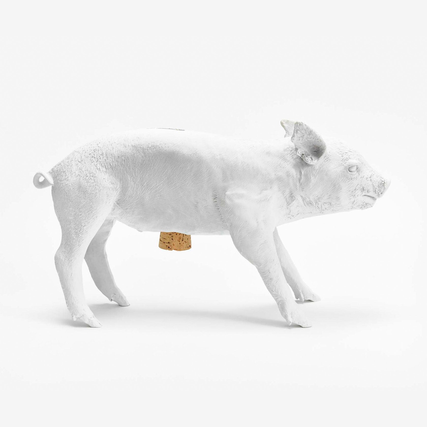 Reality Bank in the Form of a Pig