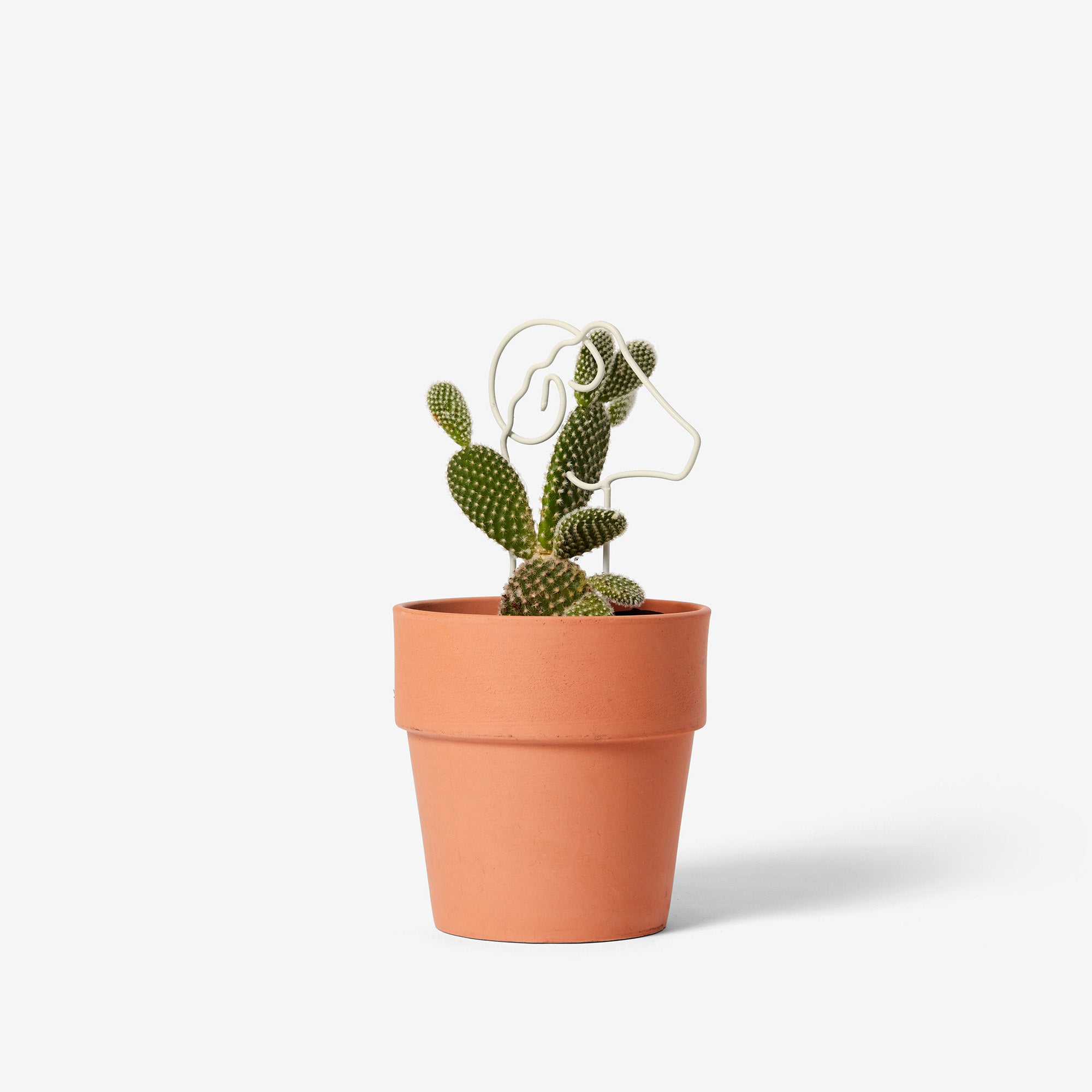 Plant Trellis Mini
