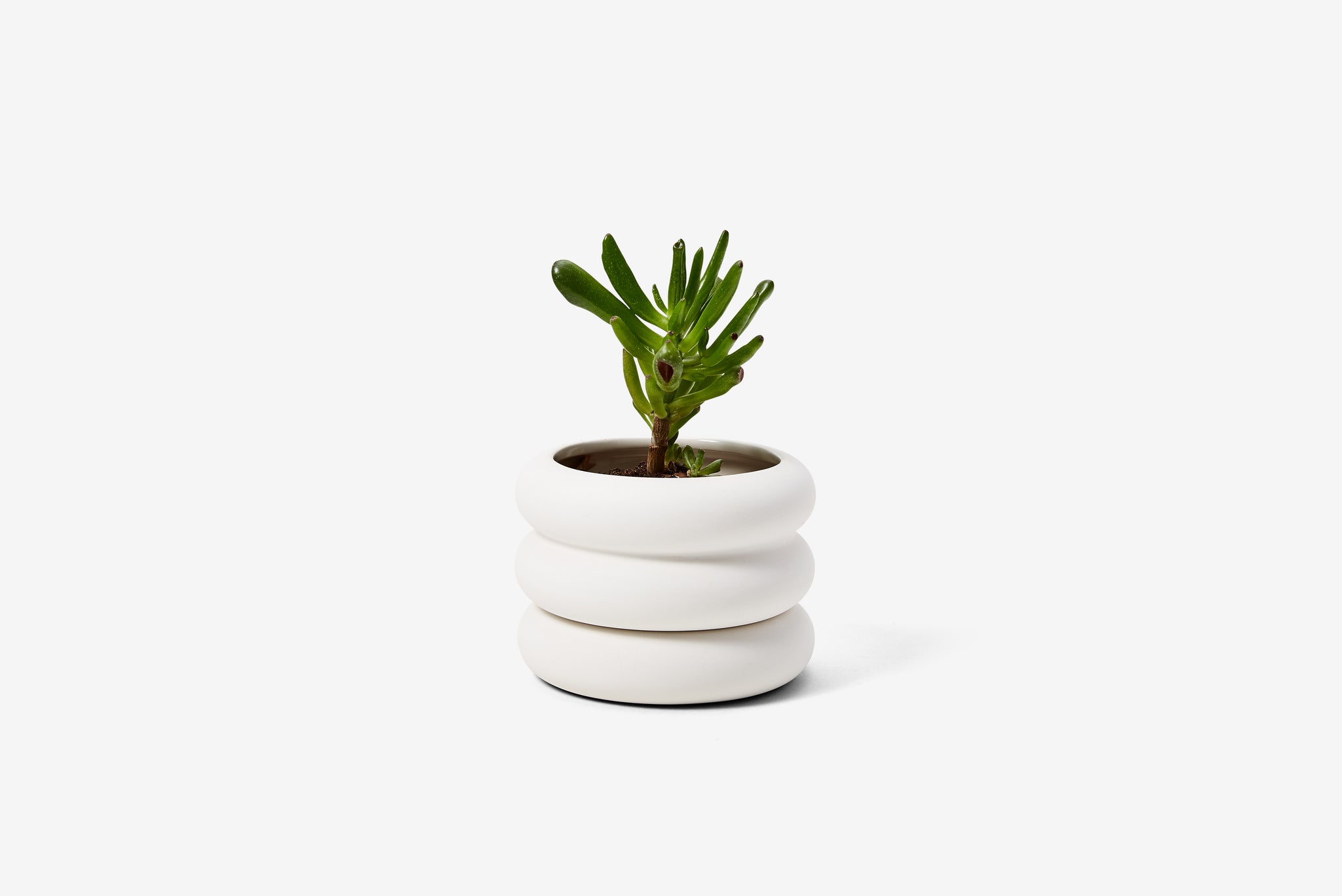 Stacking Planter White - Mini Short (MOQ: 4)